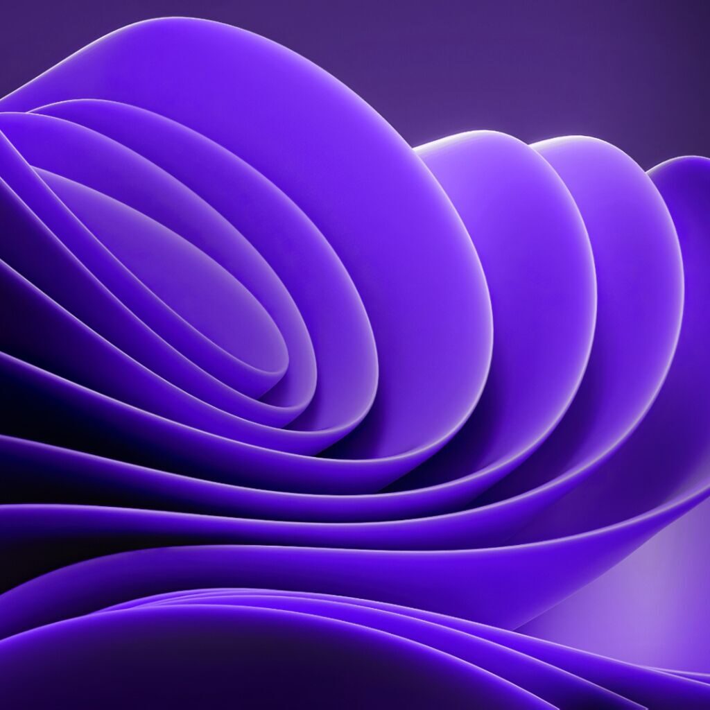 previewfile_2843017629